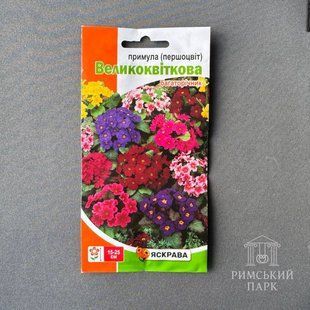 Першоцвіт Великоквітковий ( Примула ) суміш 0.1 г 7136 фото