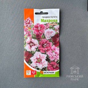 Гвоздика Пір'яста Махрова 0.2 г 7115 фото