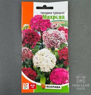 Гвоздика Турецька Махрова 0.5 г 7117 фото